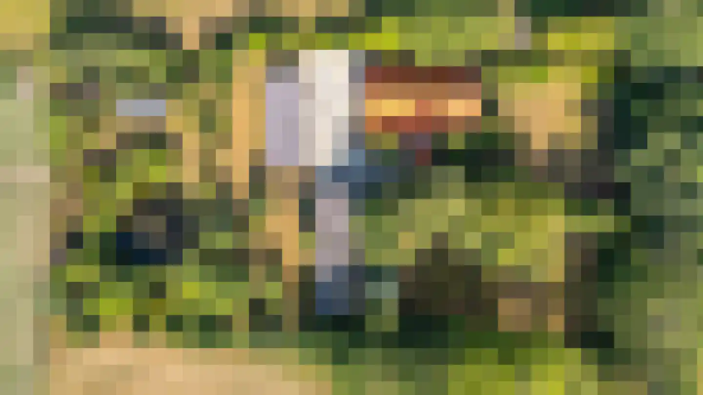 Beetserweg 36 Sellingen thumbnail 17