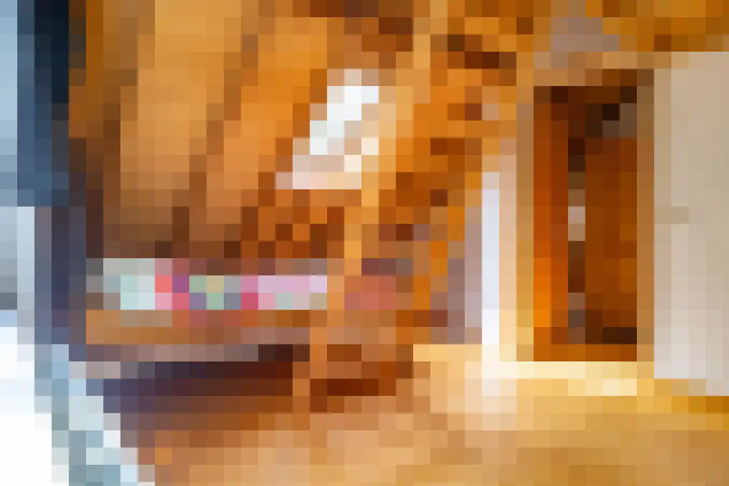 Beetserweg 36 Sellingen thumbnail 28