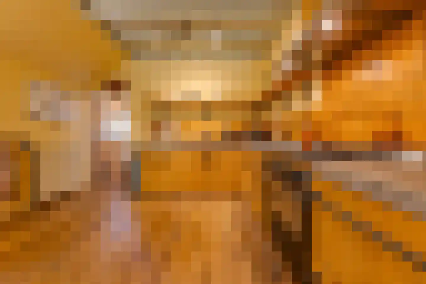 Beetserweg 36 Sellingen thumbnail 32
