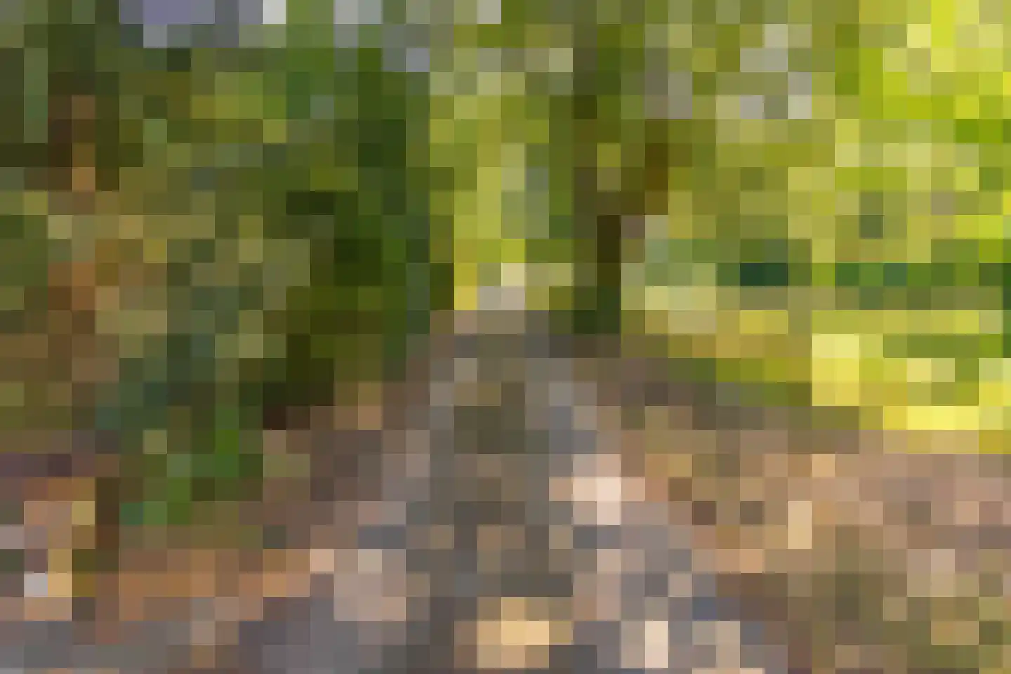 Beetserweg 36 Sellingen thumbnail 47