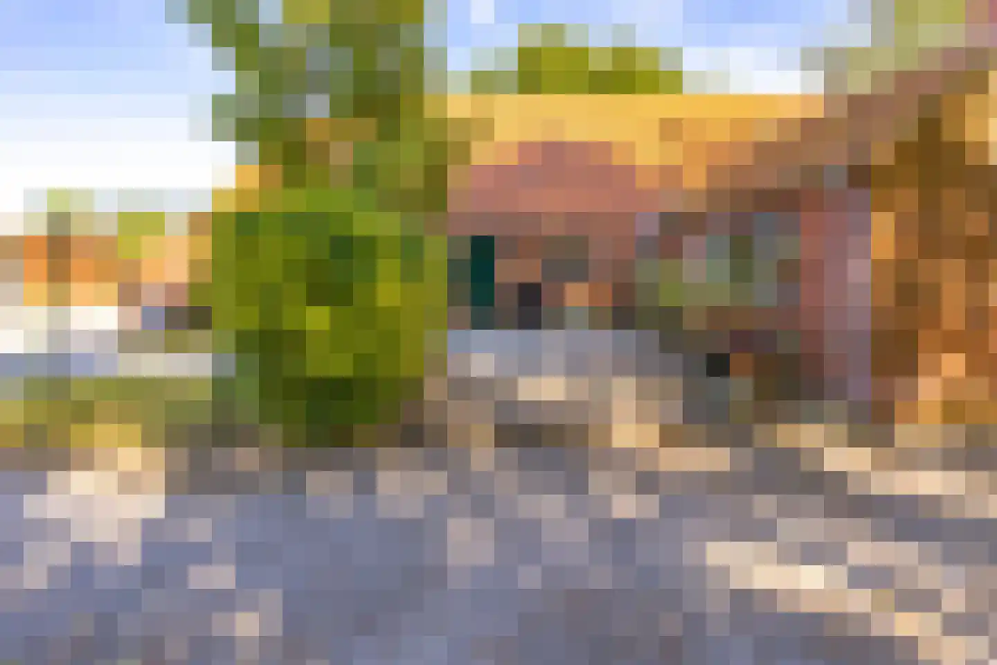 Beetserweg 36 Sellingen thumbnail 53