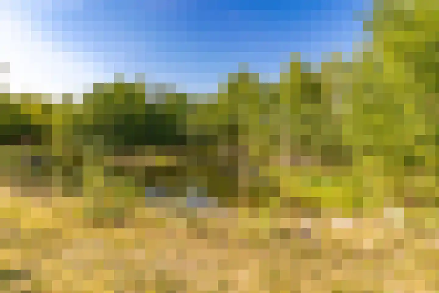 Beetserweg 36 Sellingen thumbnail 59