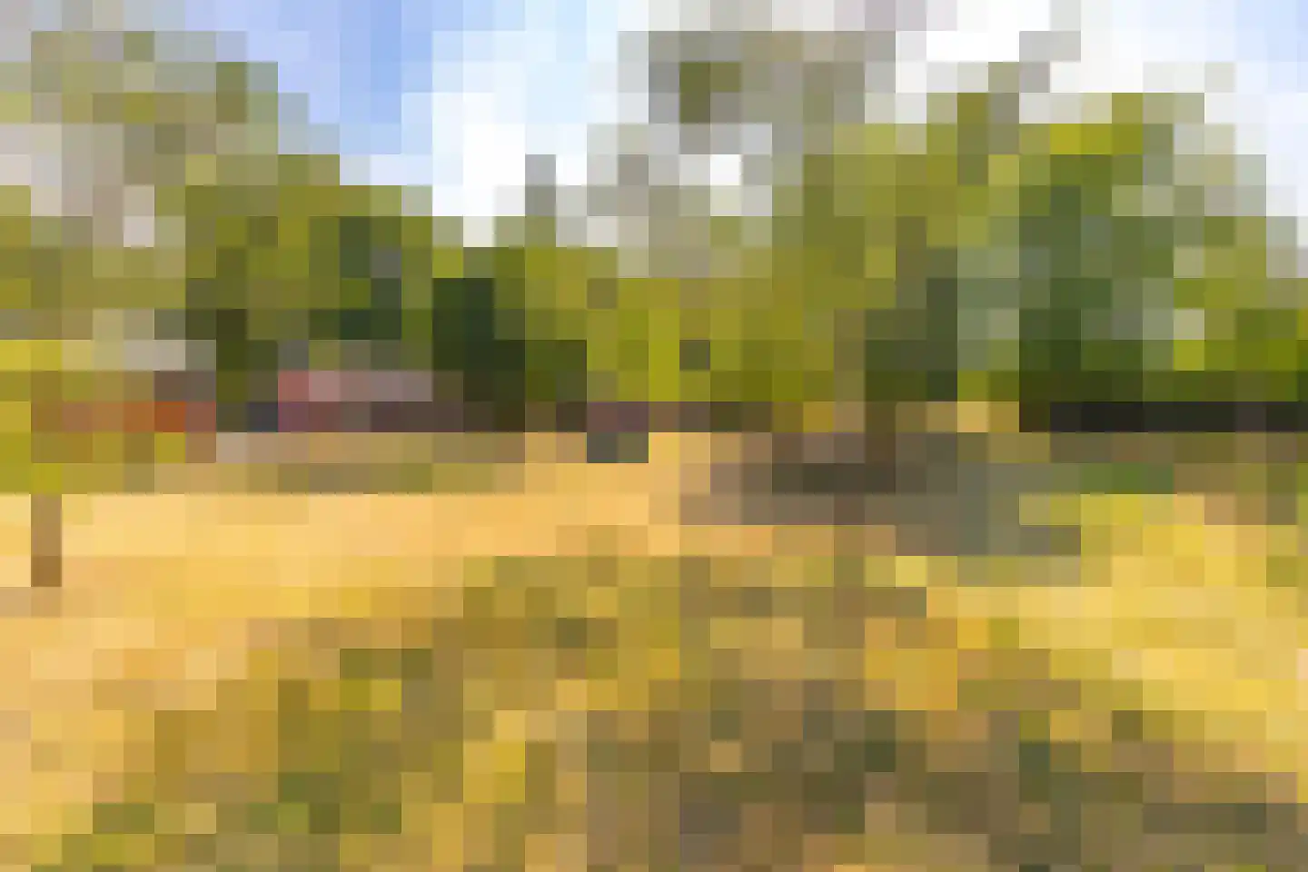 Beetserweg 36 Sellingen thumbnail 60