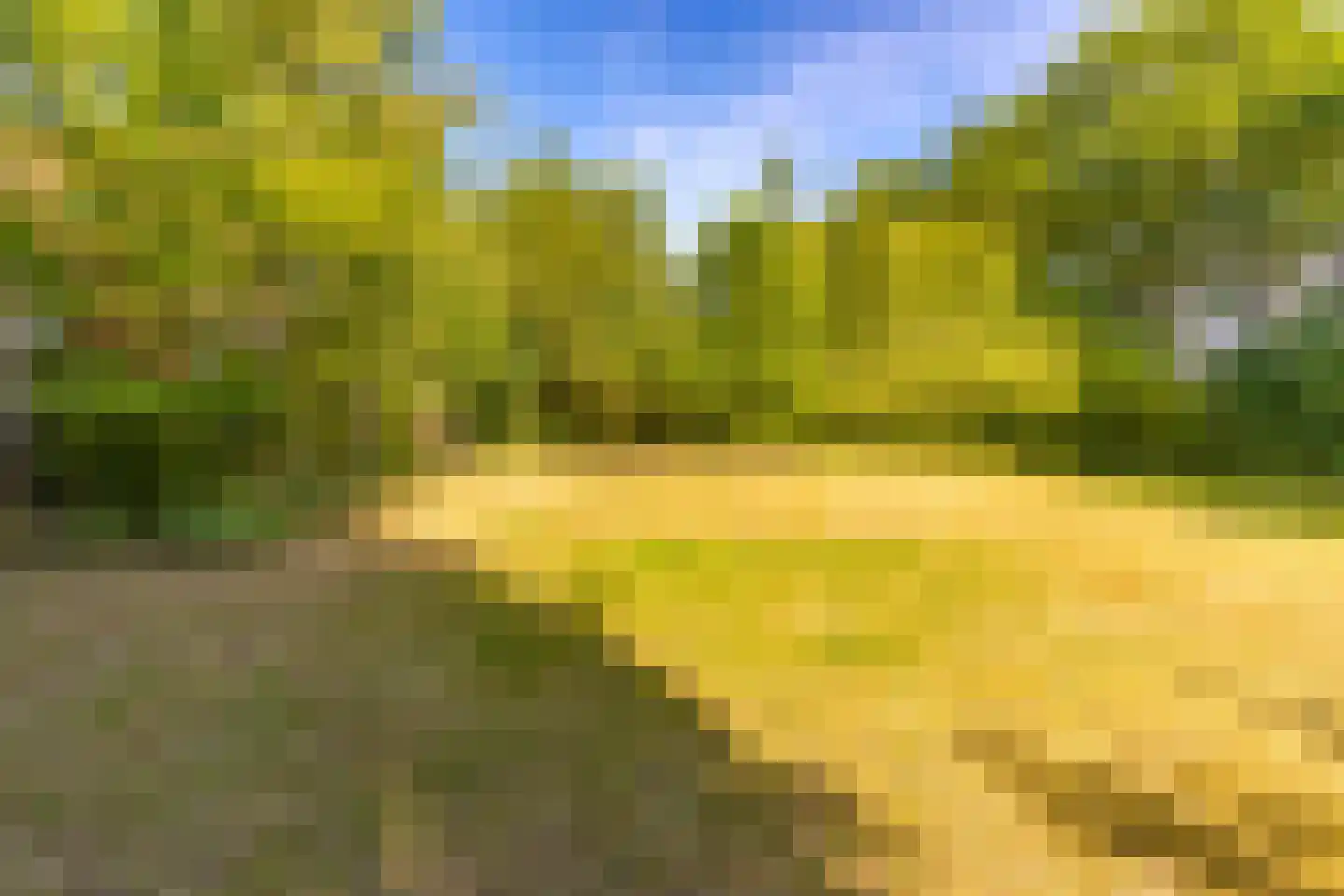 Beetserweg 36 Sellingen thumbnail 61
