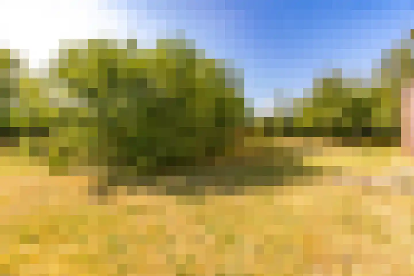 Beetserweg 36 Sellingen thumbnail 62