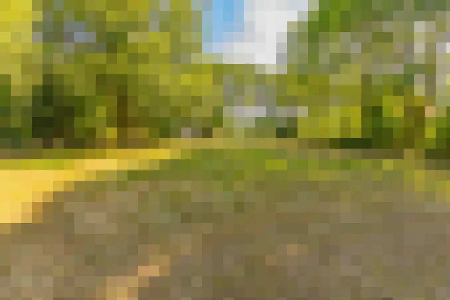 Beetserweg 36 Sellingen thumbnail 63