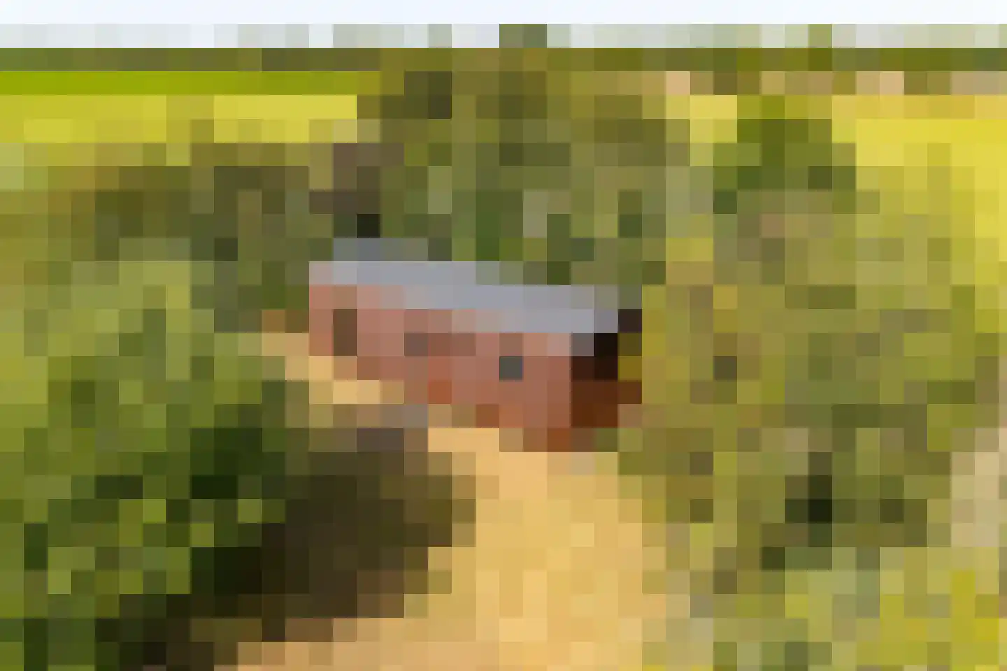 Beetserweg 36 Sellingen thumbnail 64