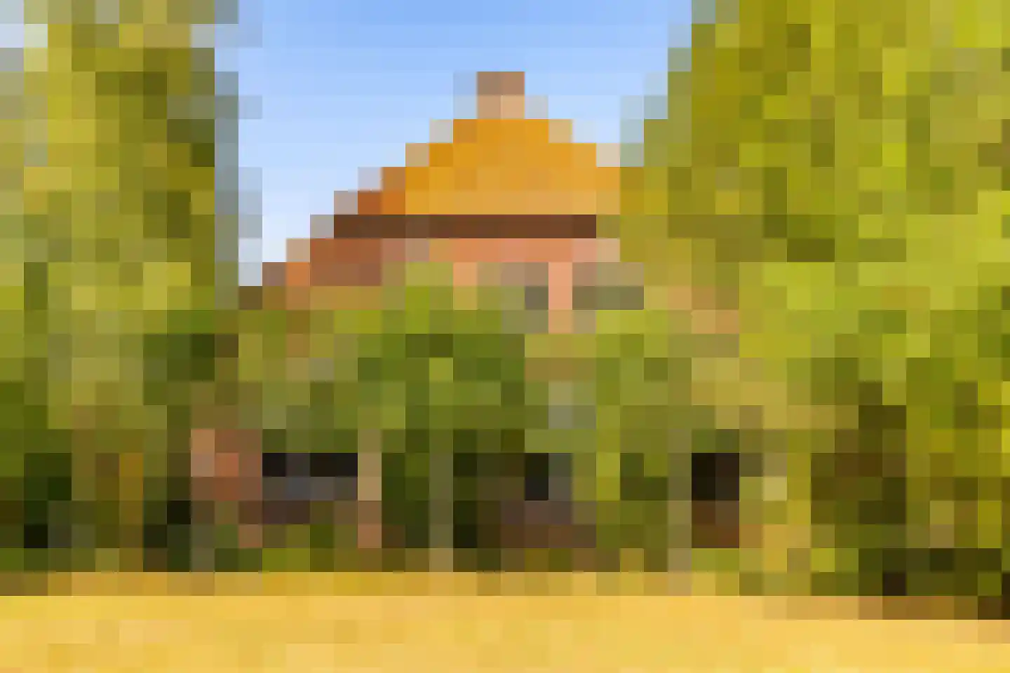 Beetserweg 36 Sellingen thumbnail 7