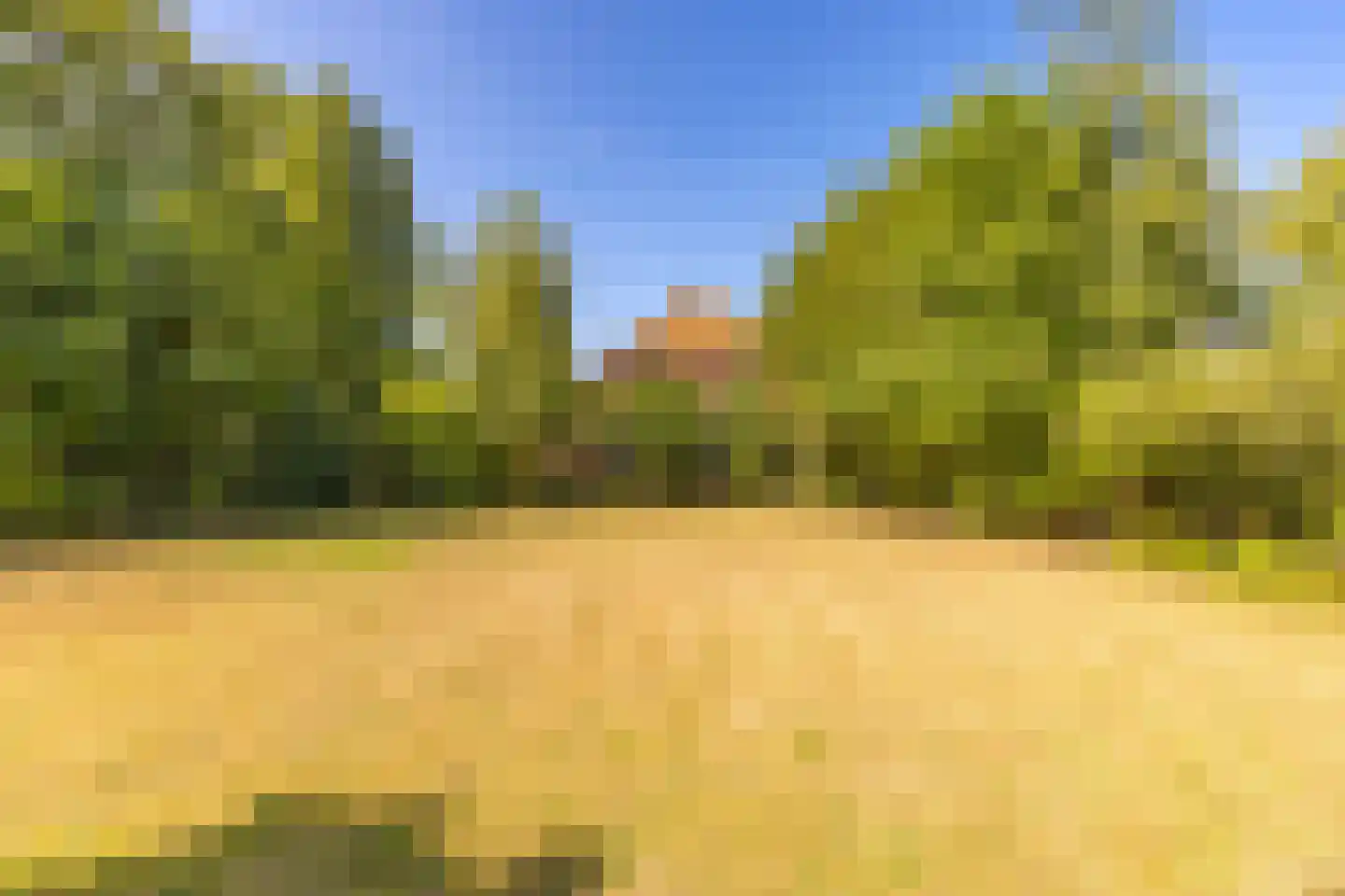Beetserweg 36 Sellingen thumbnail 8