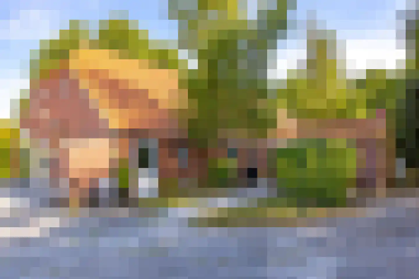 Beetserweg 36 Sellingen thumbnail 9