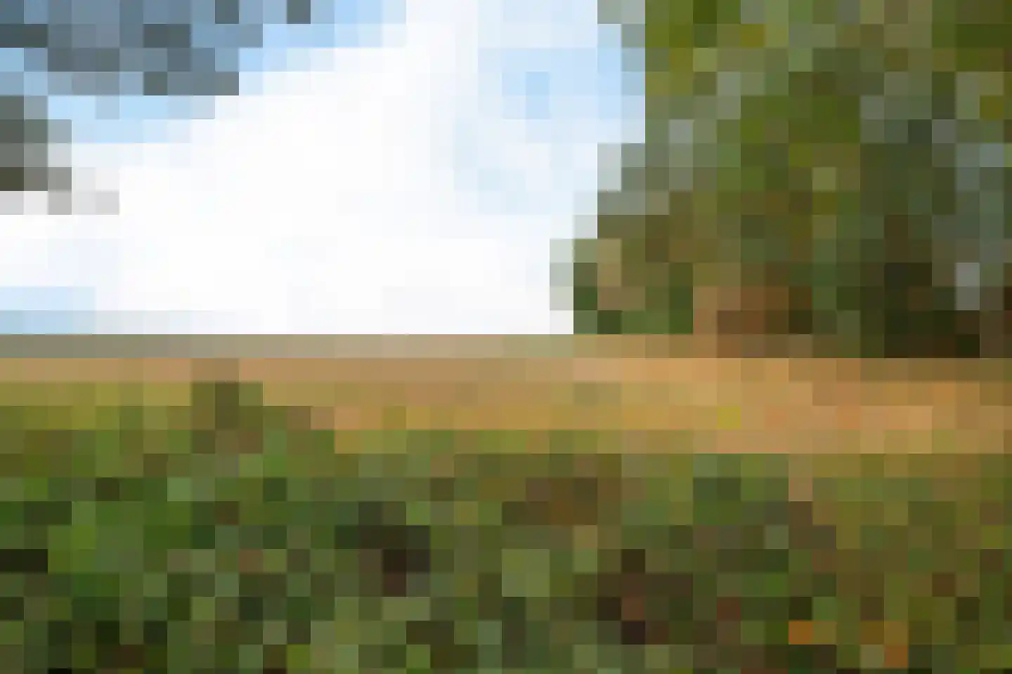 Beetserweg 57 Sellingen thumbnail 45