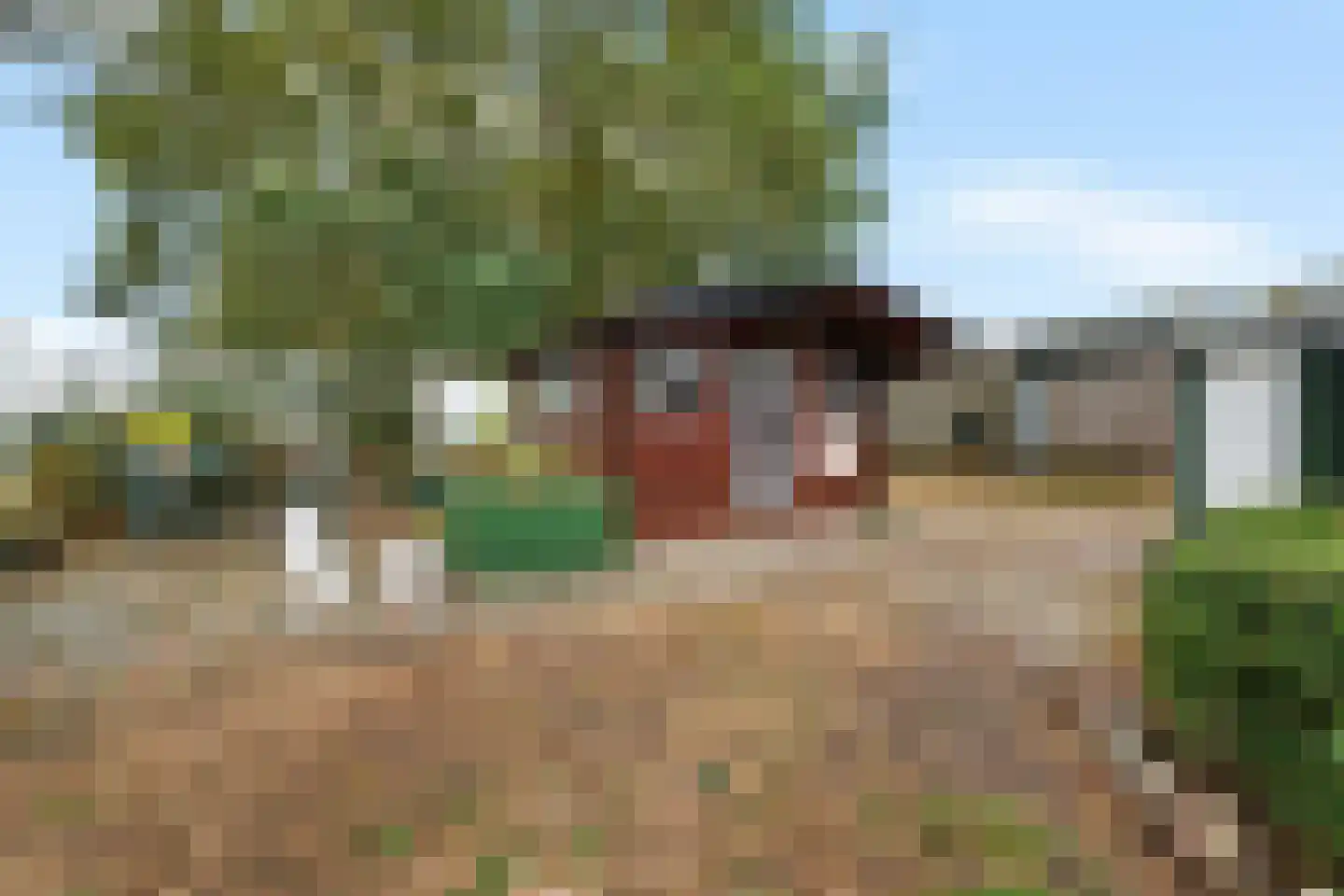 Beetserweg 57 Sellingen thumbnail 46