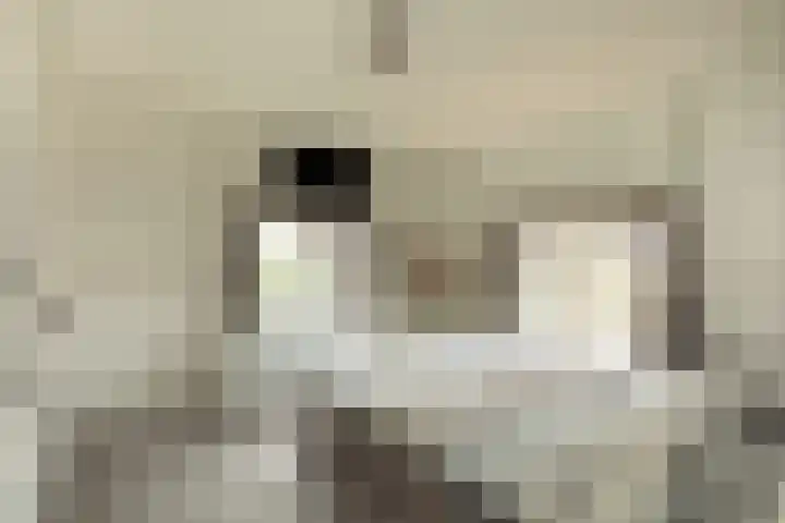 Beetslaan 13 Hilversum thumbnail 12