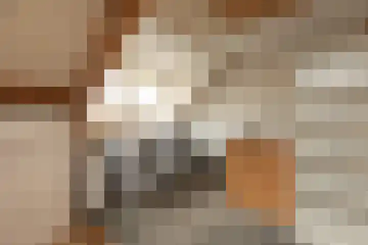 Beetslaan 13 Hilversum thumbnail 17