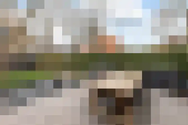 Beetslaan 13 Hilversum thumbnail 21