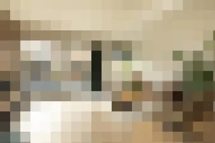 Beetslaan 13 Hilversum thumbnail 5