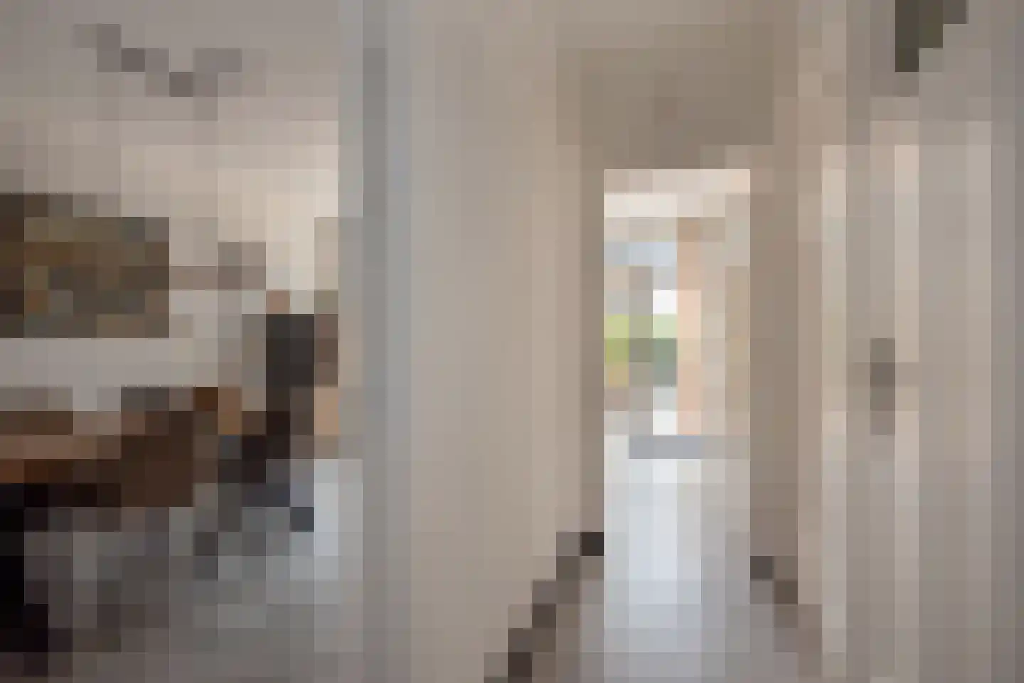 Beetslaan 14 Rijswijk thumbnail 10