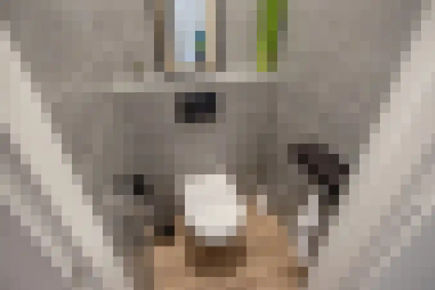 Beetslaan 14 Rijswijk thumbnail 11
