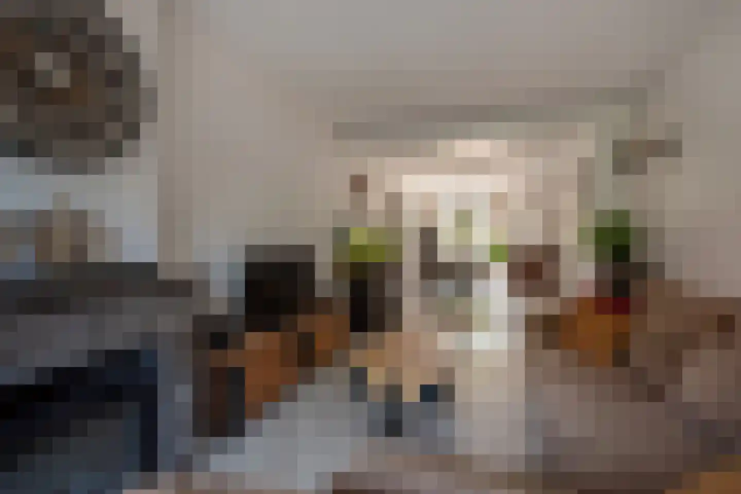 Beetslaan 14 Rijswijk thumbnail 12