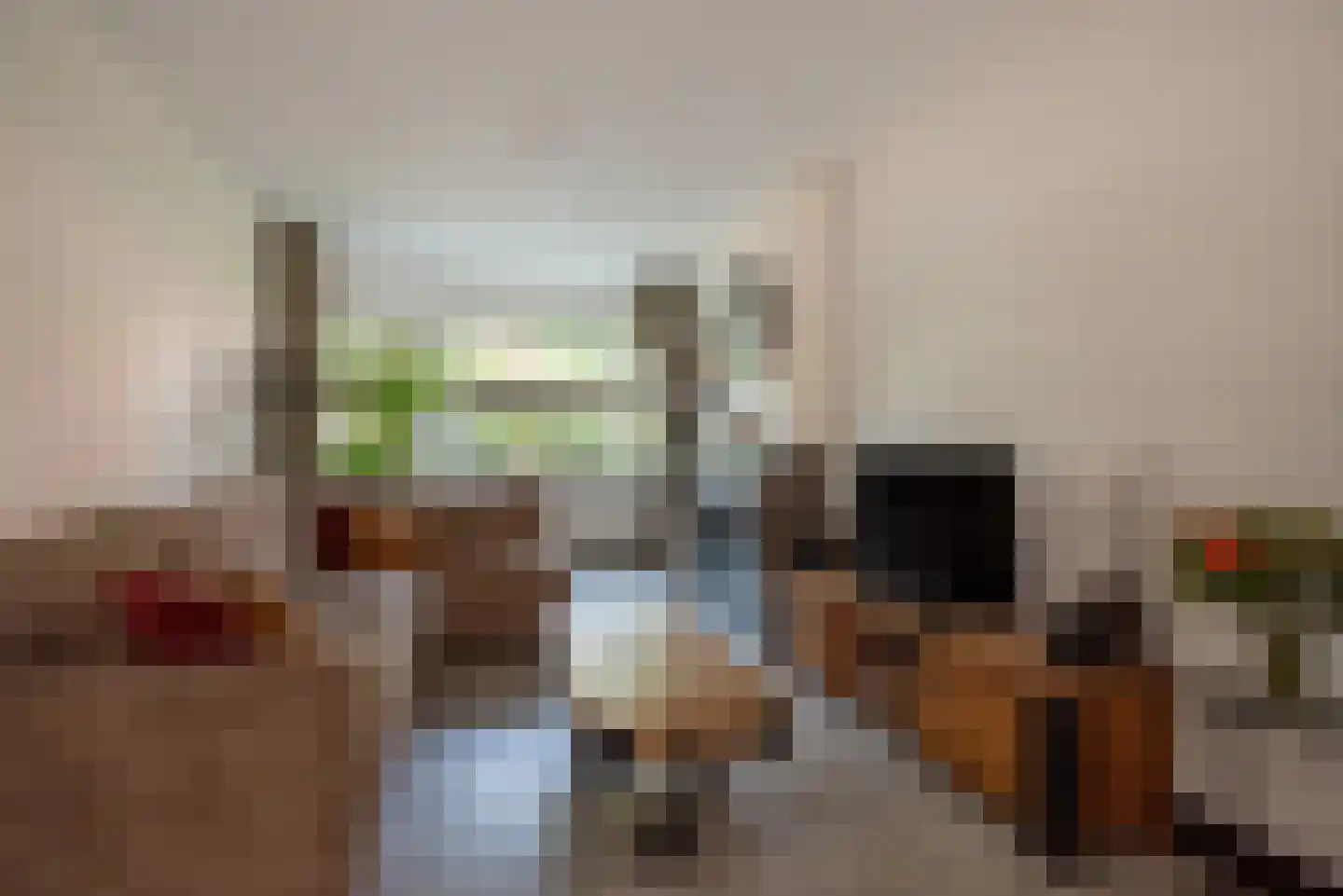 Beetslaan 14 Rijswijk thumbnail 14