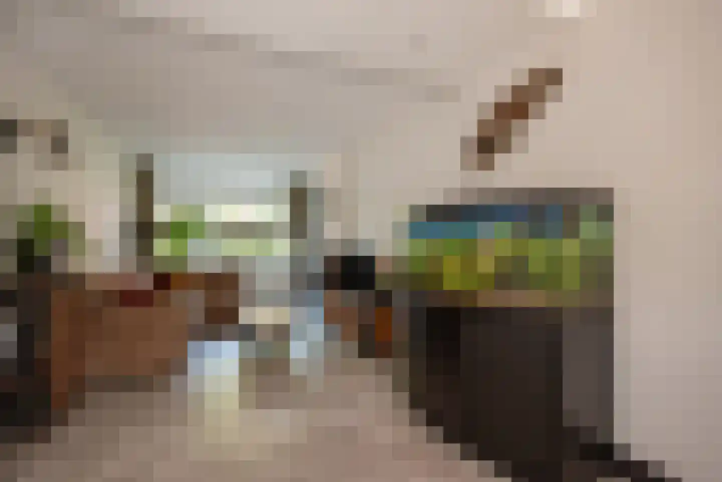Beetslaan 14 Rijswijk thumbnail 15