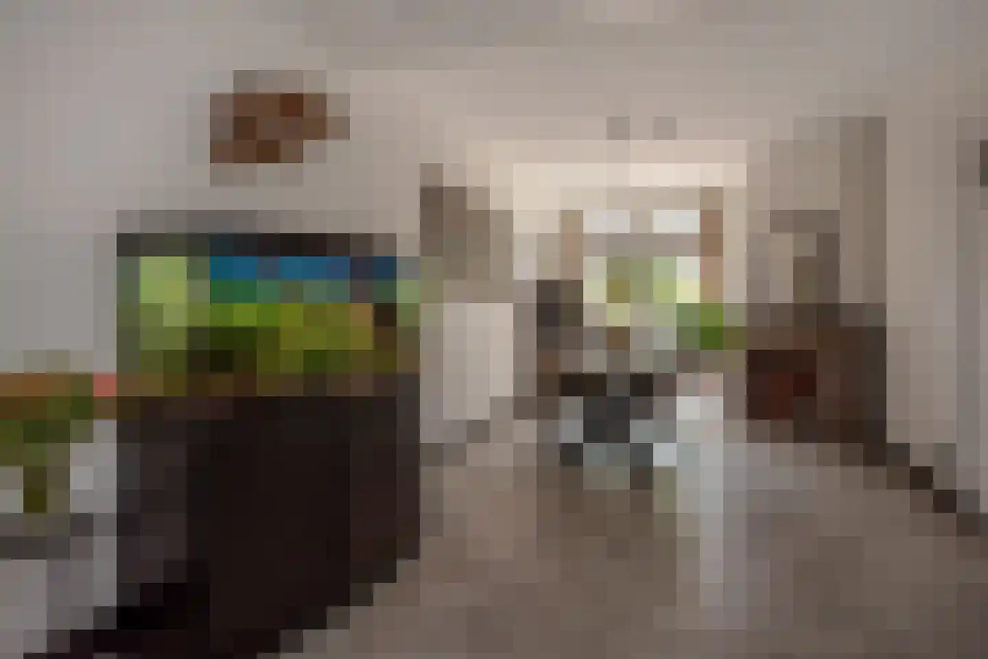 Beetslaan 14 Rijswijk thumbnail 16