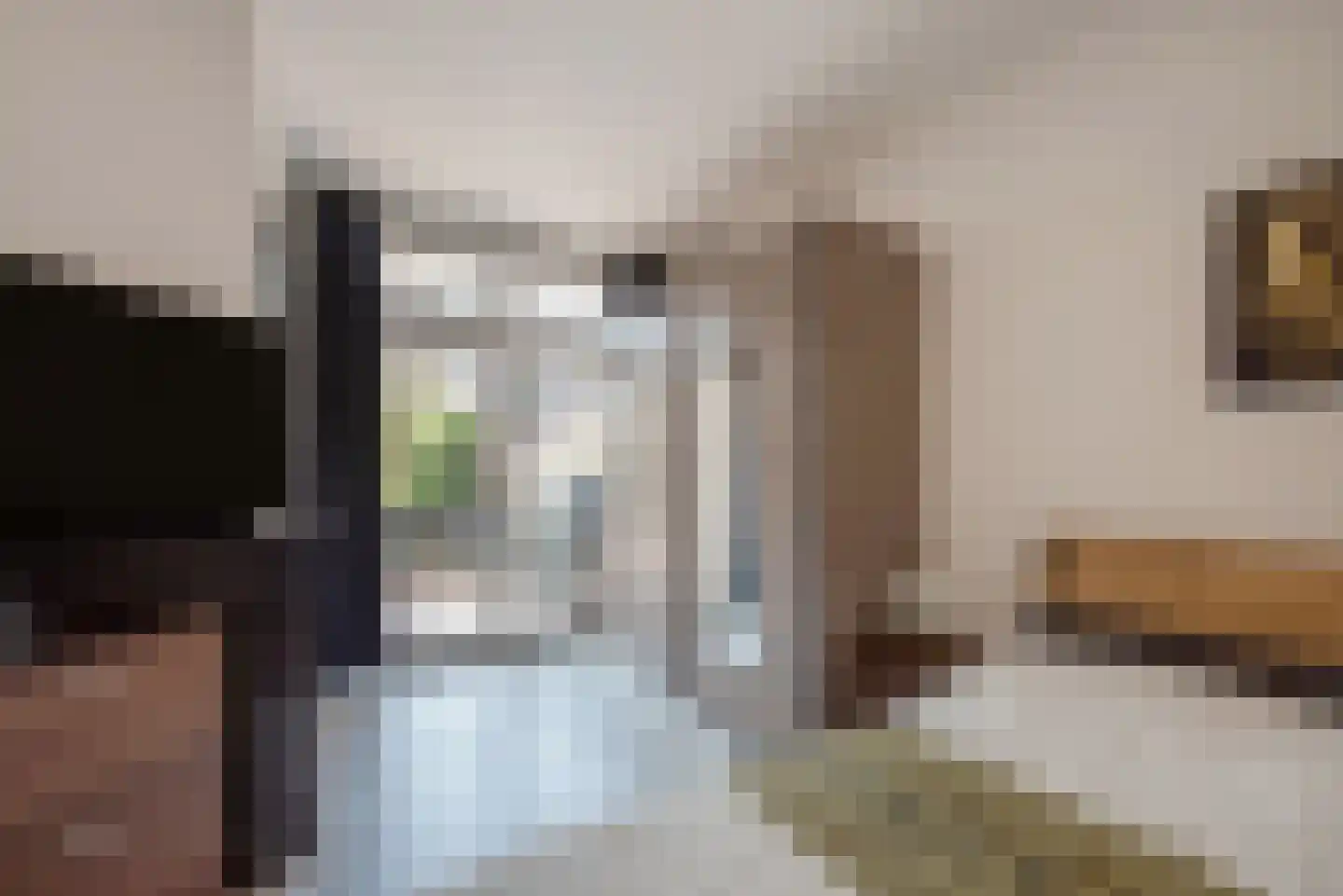 Beetslaan 14 Rijswijk thumbnail 21