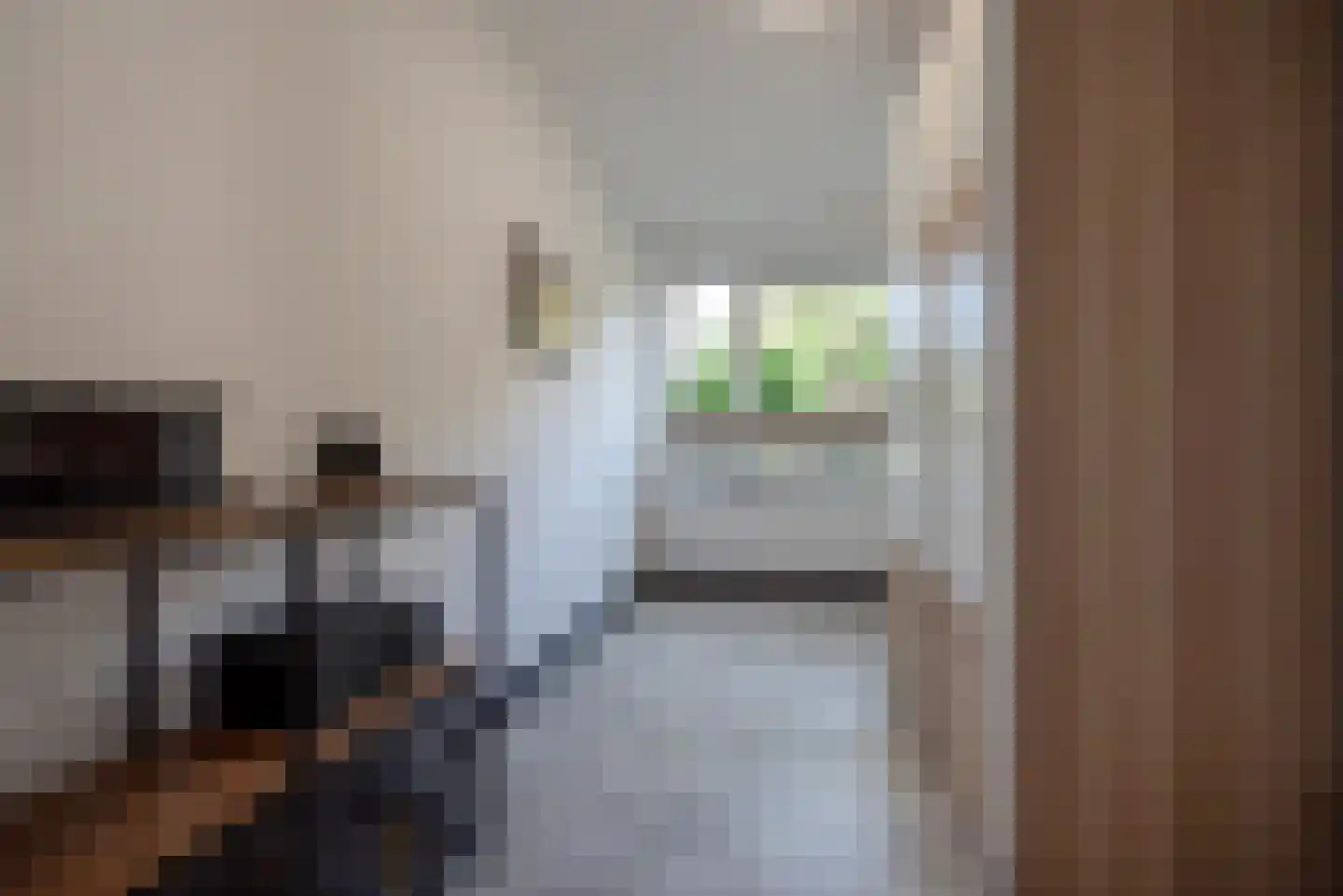 Beetslaan 14 Rijswijk thumbnail 23