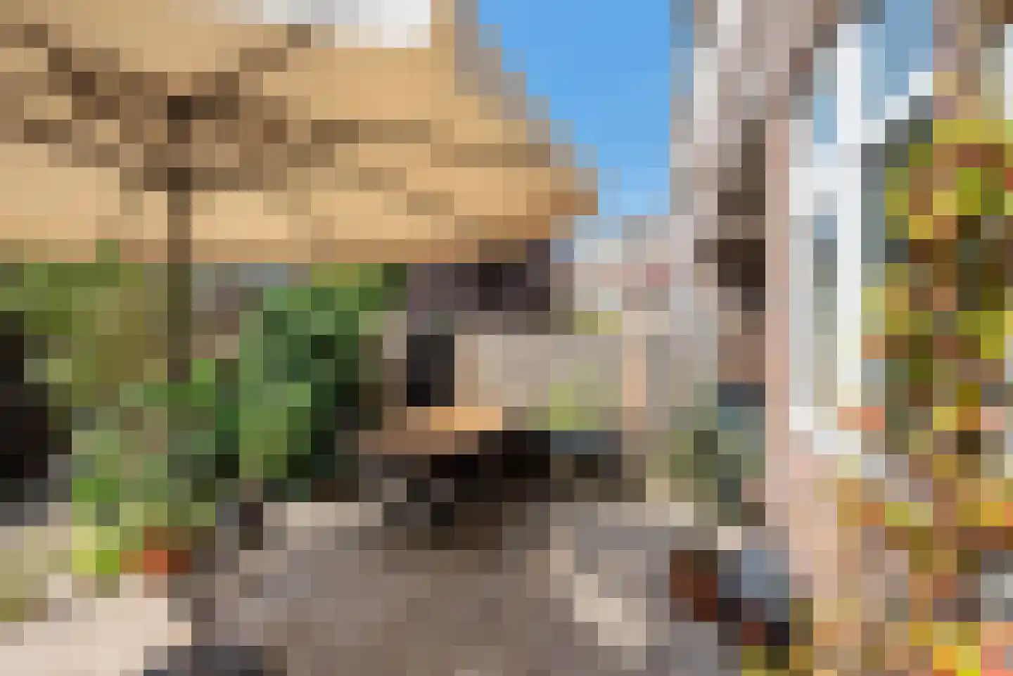 Beetslaan 14 Rijswijk thumbnail 28