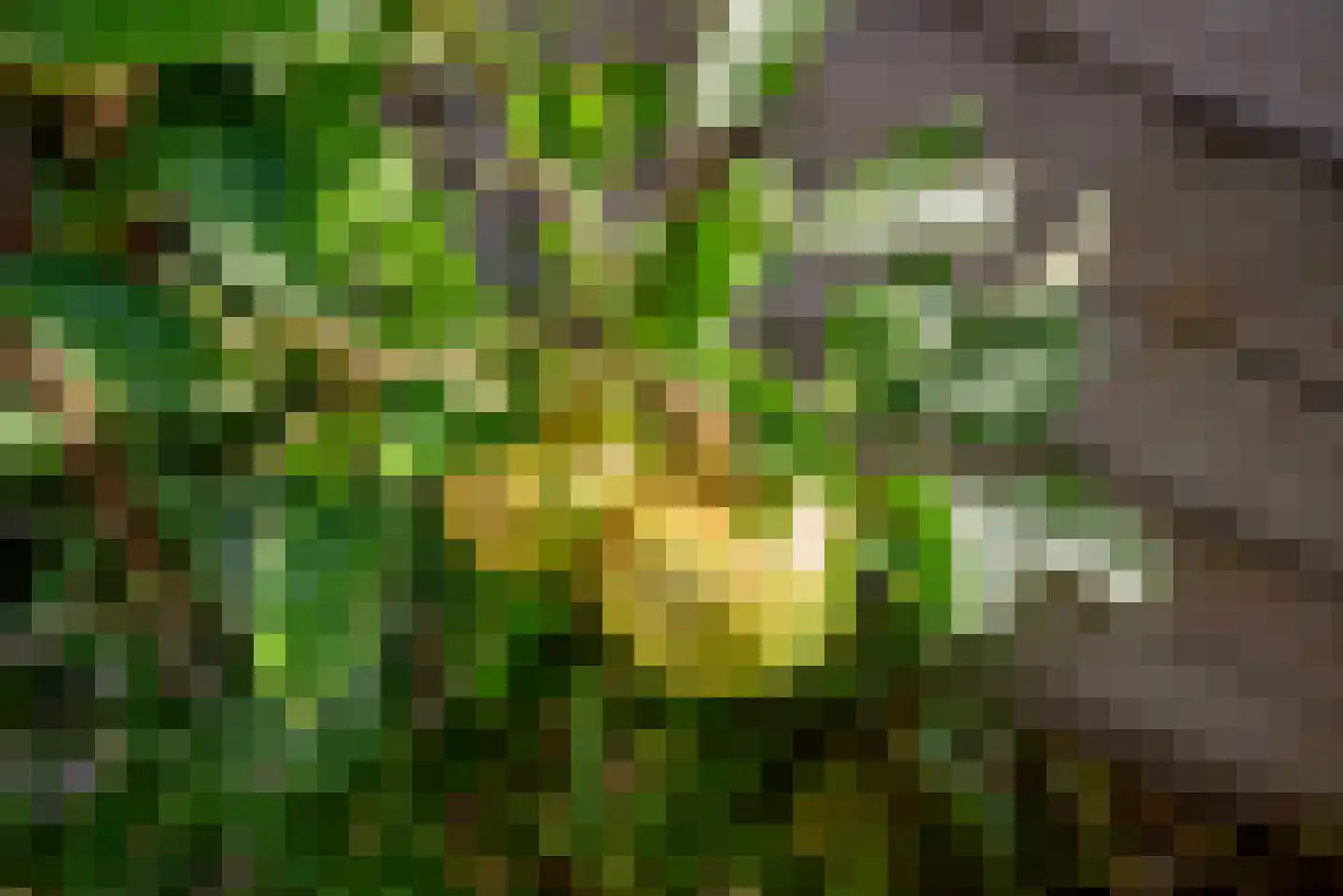 Beetslaan 14 Rijswijk thumbnail 31