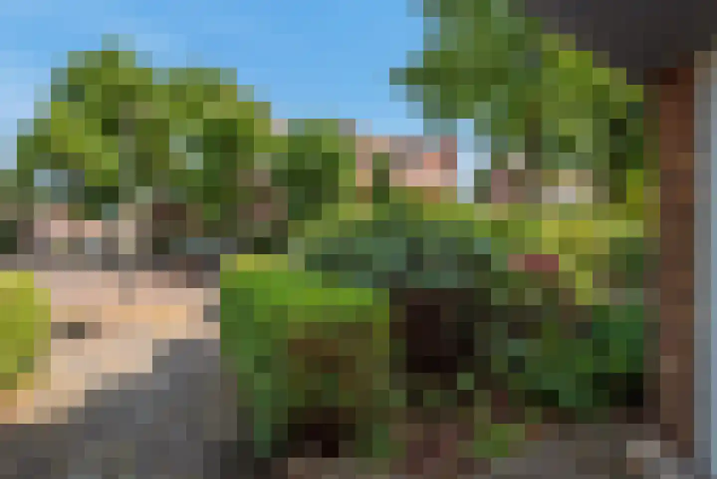 Beetslaan 14 Rijswijk thumbnail 34