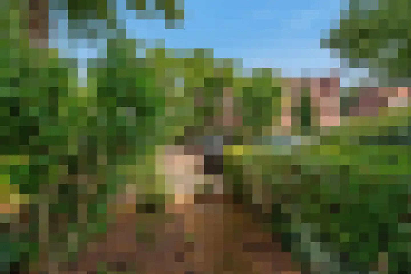Beetslaan 14 Rijswijk thumbnail 35