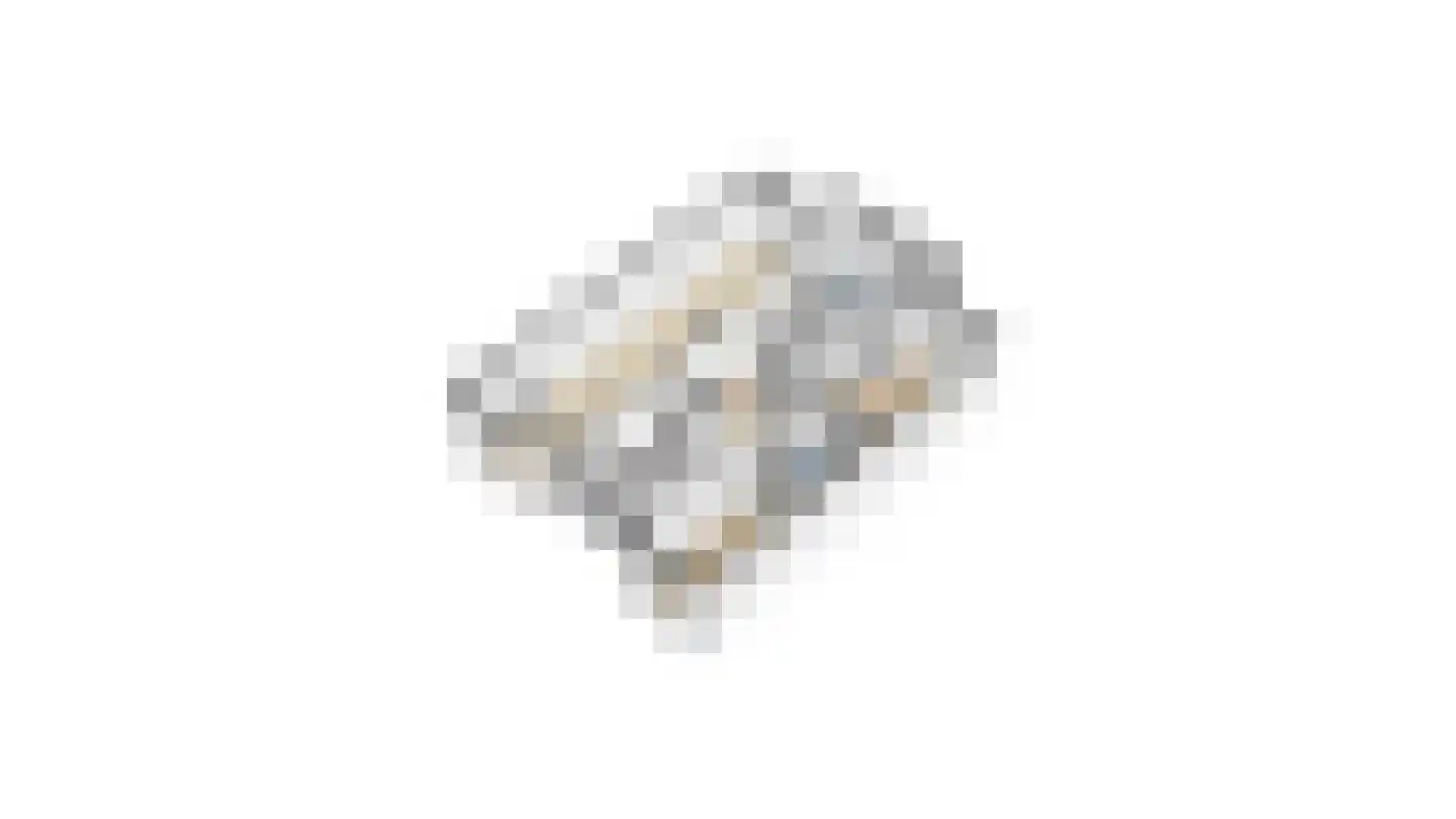 Beetslaan 14 Rijswijk thumbnail 39