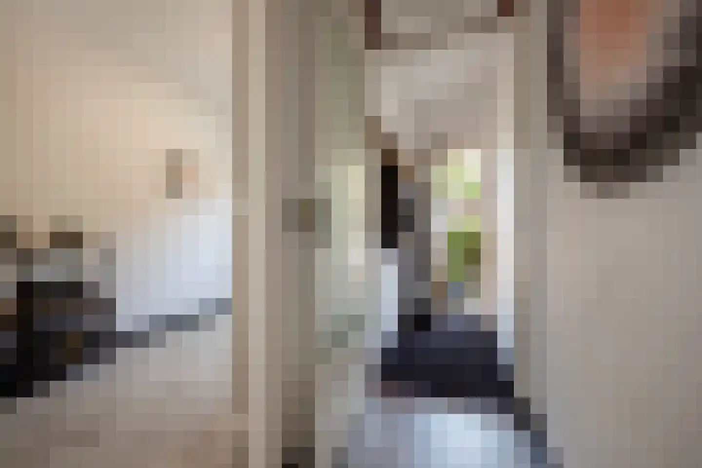 Beetslaan 14 Rijswijk thumbnail 6