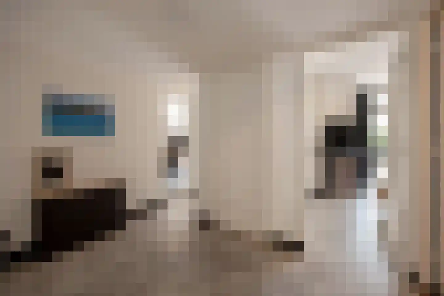 Beetslaan 14 Rijswijk thumbnail 9