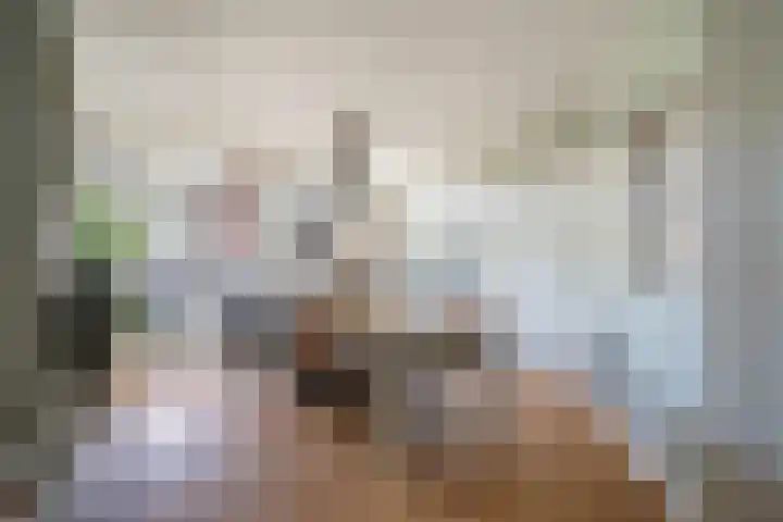 Beetslaan 144 Rijswijk thumbnail 13