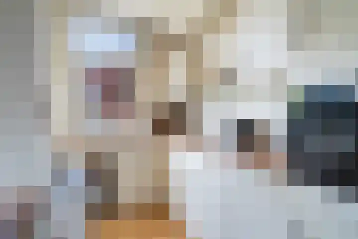 Beetslaan 144 Rijswijk thumbnail 14
