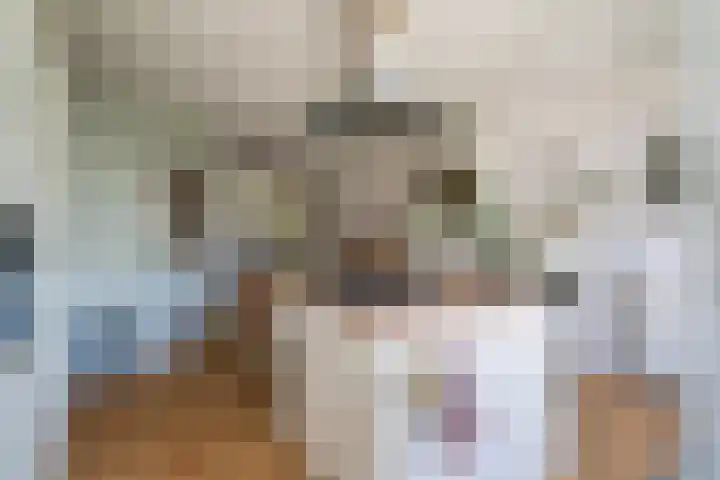 Beetslaan 144 Rijswijk thumbnail 15