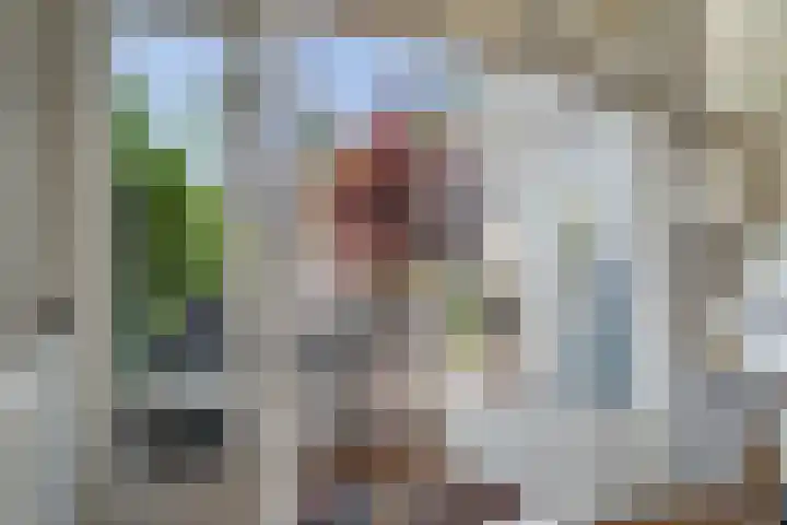 Beetslaan 144 Rijswijk thumbnail 18