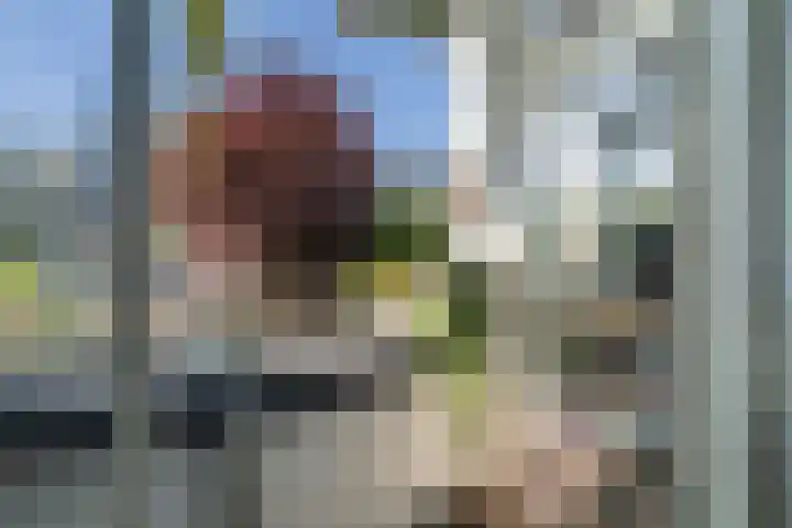 Beetslaan 144 Rijswijk thumbnail 19