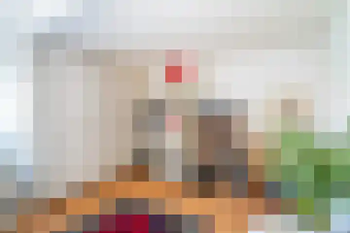 Beetslaan 144 Rijswijk thumbnail 23