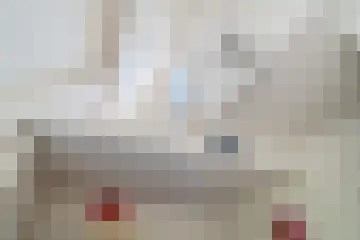 Beetslaan 144 Rijswijk thumbnail 25