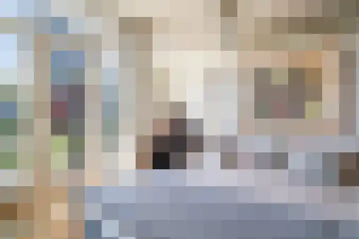 Beetslaan 144 Rijswijk thumbnail 30