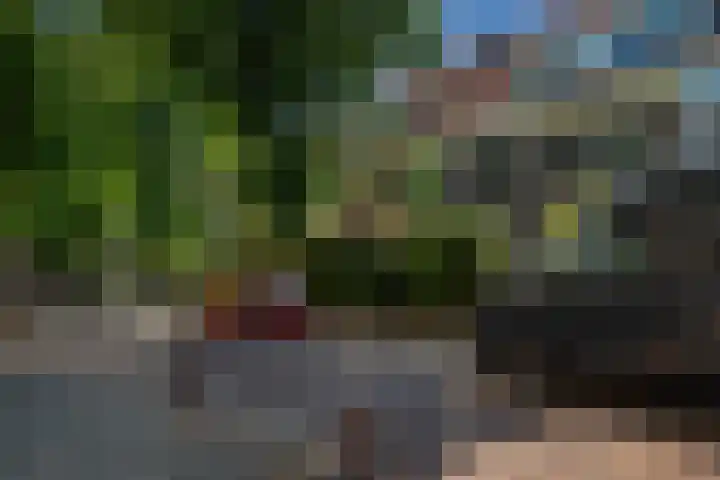 Beetslaan 144 Rijswijk thumbnail 41