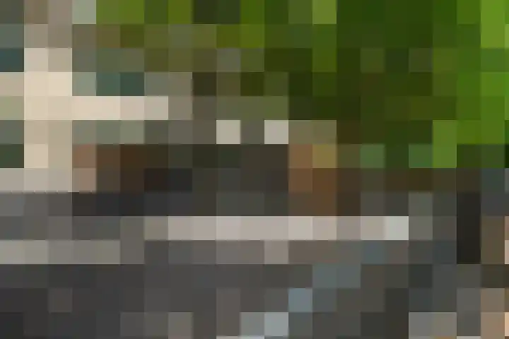 Beetslaan 144 Rijswijk thumbnail 42