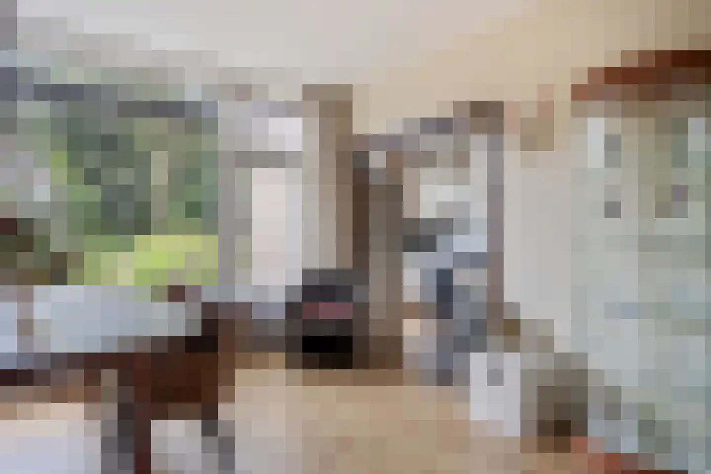 Beetslaan 2 Voorschoten thumbnail 11