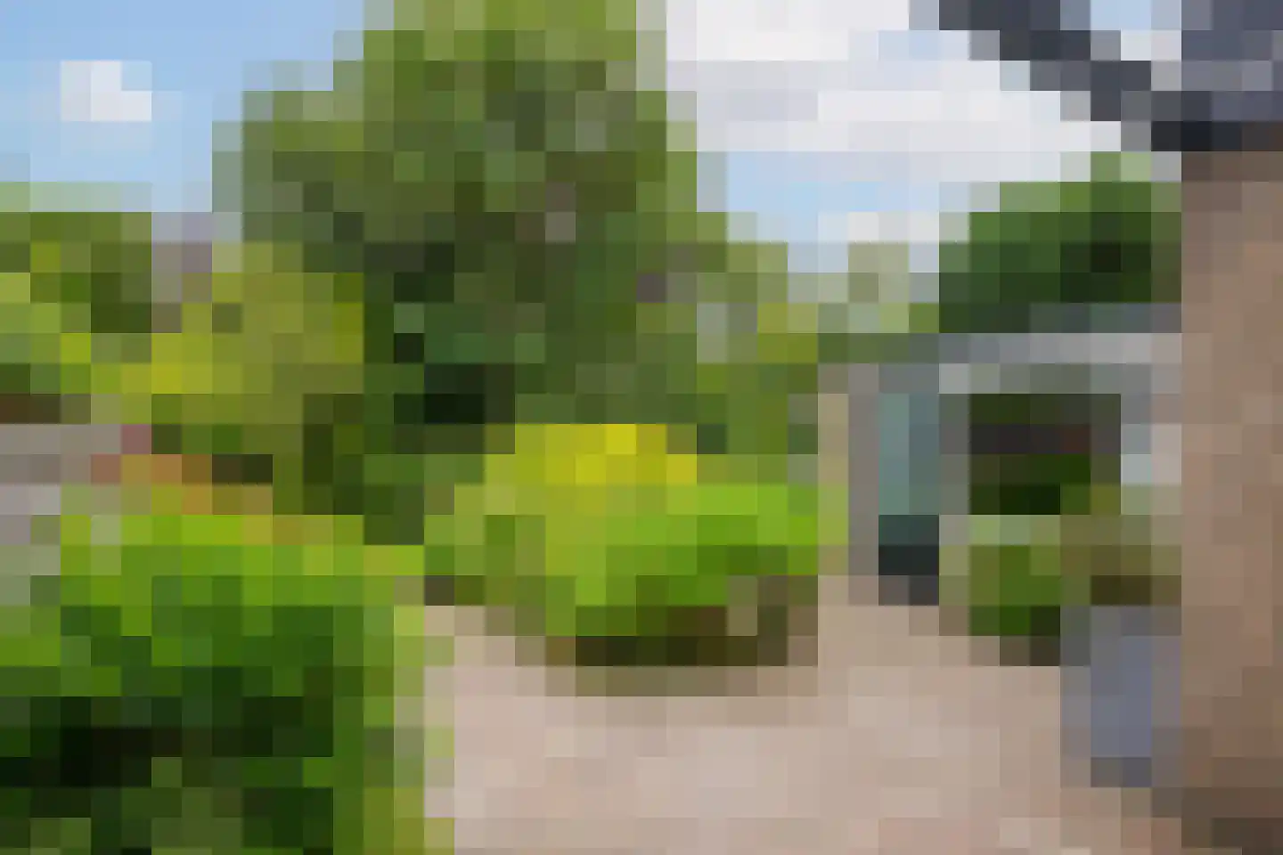 Beetslaan 2 Voorschoten thumbnail 35