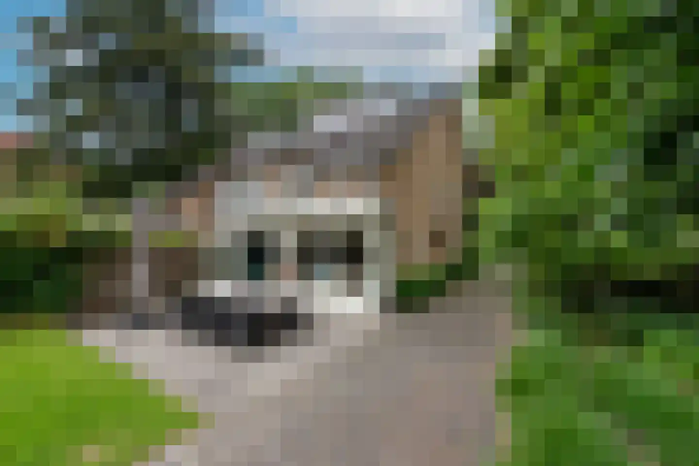 Beetslaan 21 Bilthoven thumbnail 26