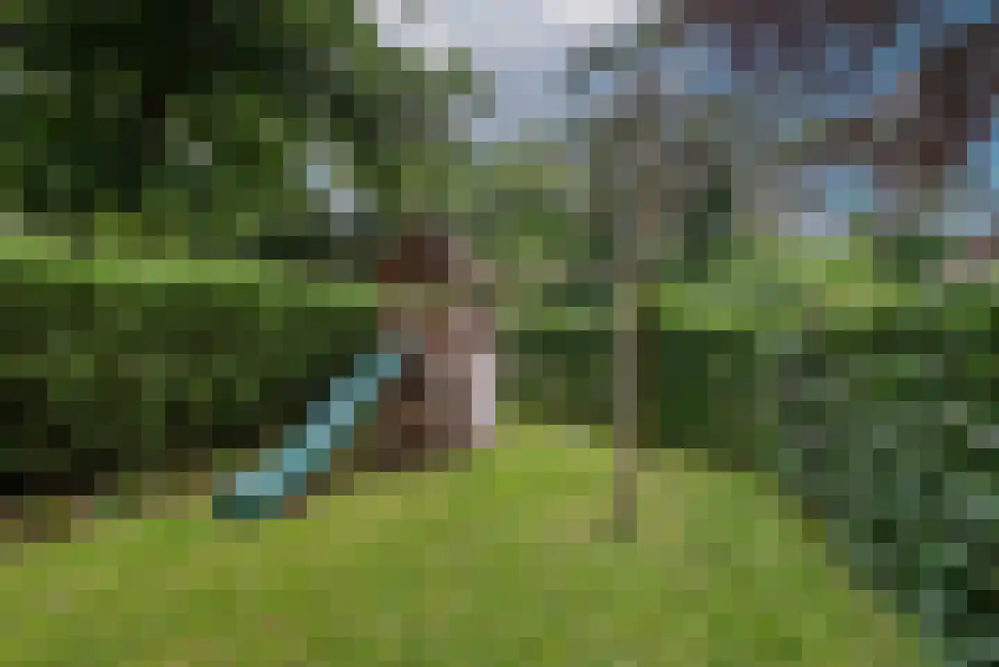 Beetslaan 21 Bilthoven thumbnail 28