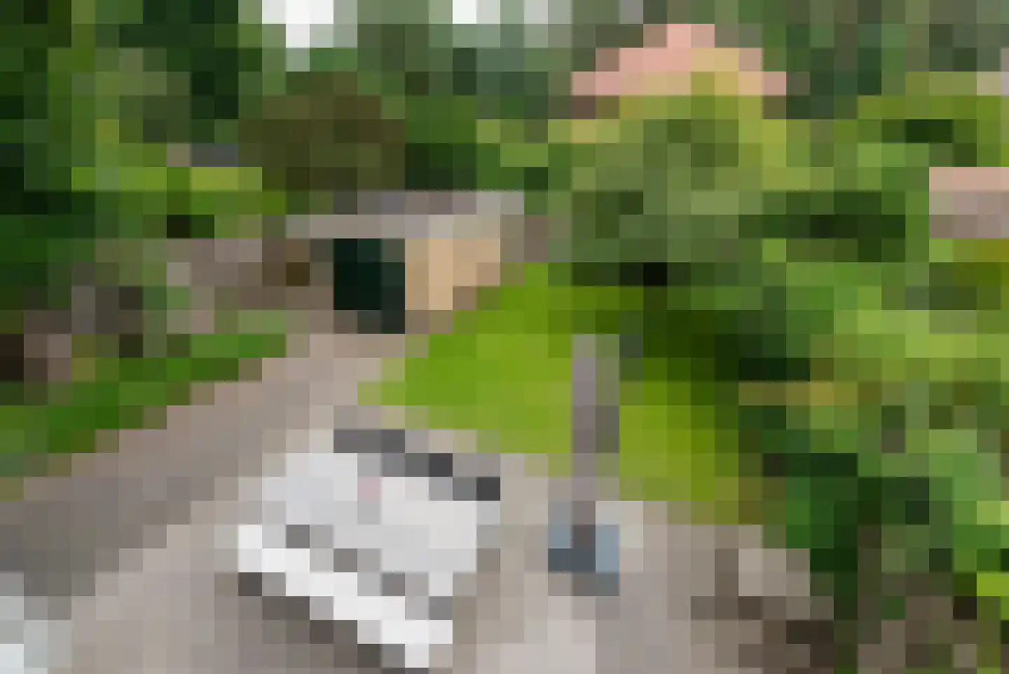 Beetslaan 21 Bilthoven thumbnail 35